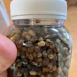 投稿についてもっと詳しく プラスチック容器も進化してるびっくり！
